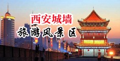 色色日B网站中国陕西-西安城墙旅游风景区